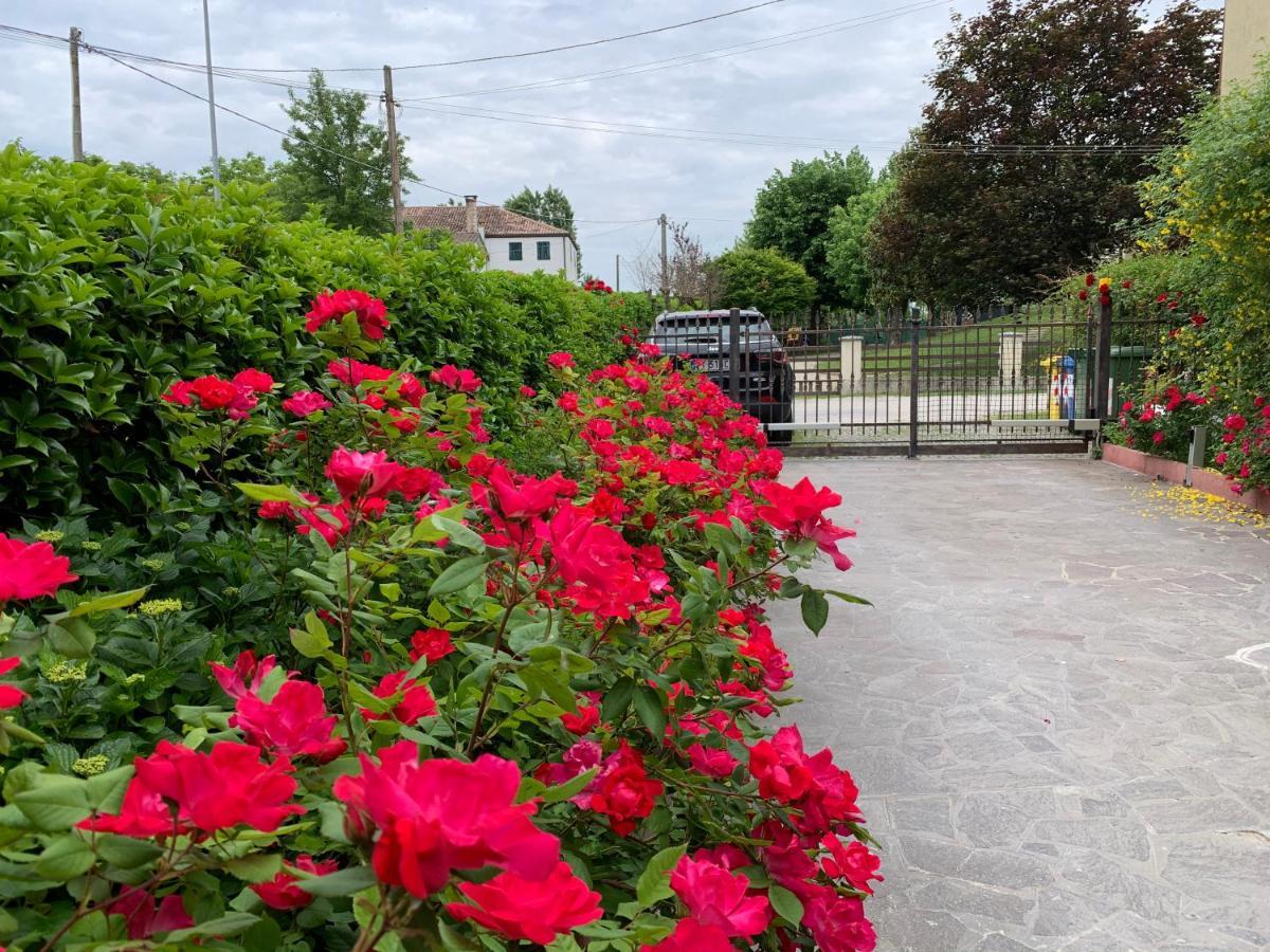 Casa Serenella B&B - Casa Vacanze Piazzola sul Brenta Dış mekan fotoğraf