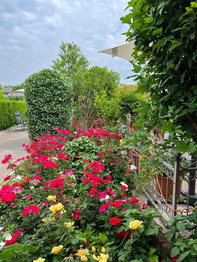 Casa Serenella B&B - Casa Vacanze Piazzola sul Brenta Dış mekan fotoğraf